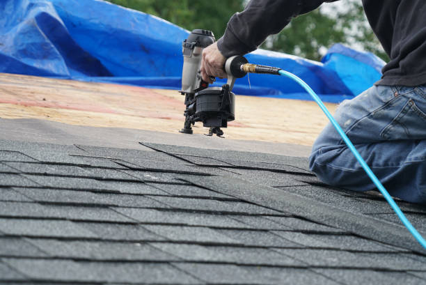 Best Roof Repair Services  in Gberts, IL