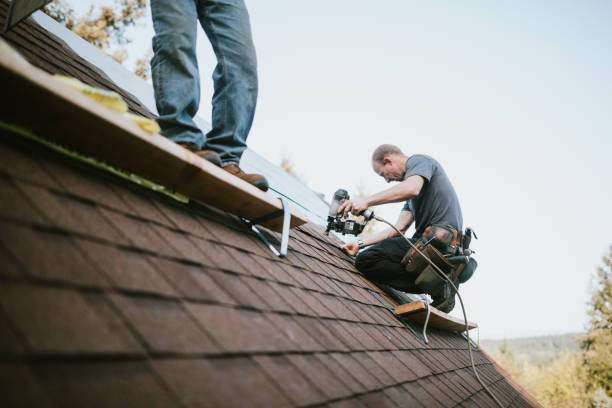 Professional Roofing Contractor in Gilberts, IL
